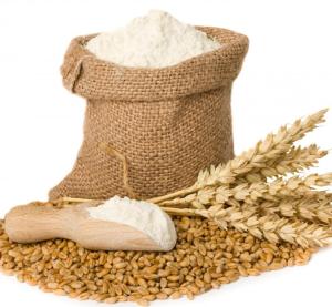 تکنولوژی غلات